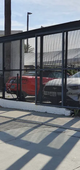 Avis Car Rental Picture 2