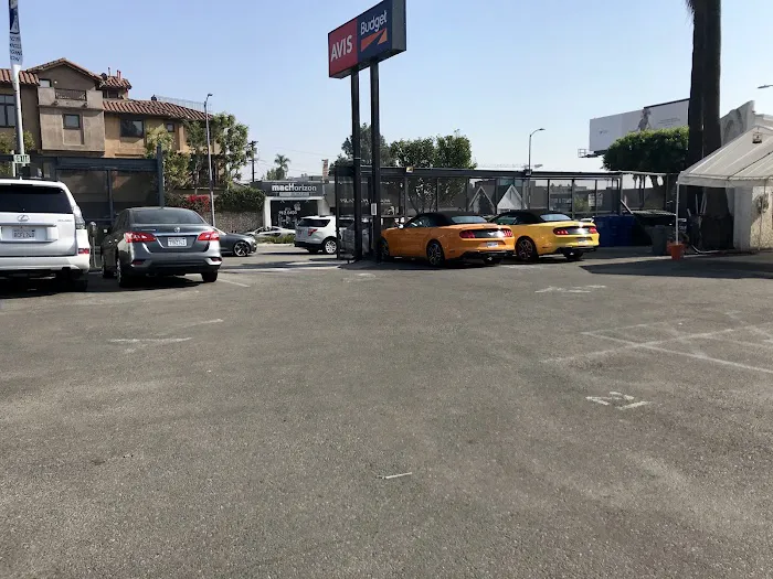 Avis Car Rental Picture 9