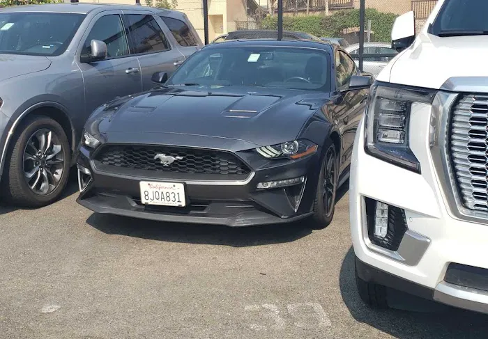 Avis Car Rental Picture 5