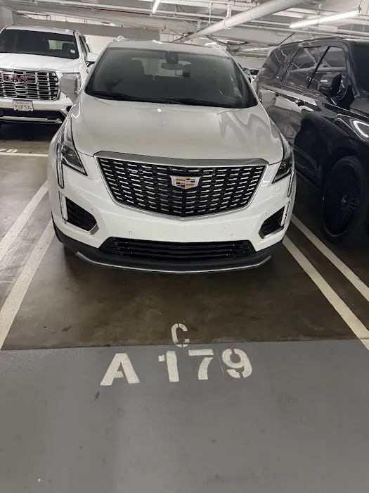 Avis Car Rental Picture 7