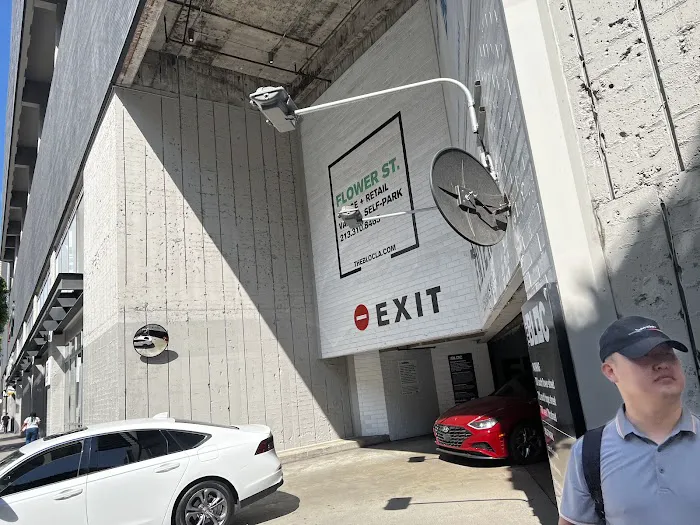 Avis Car Rental Picture 10