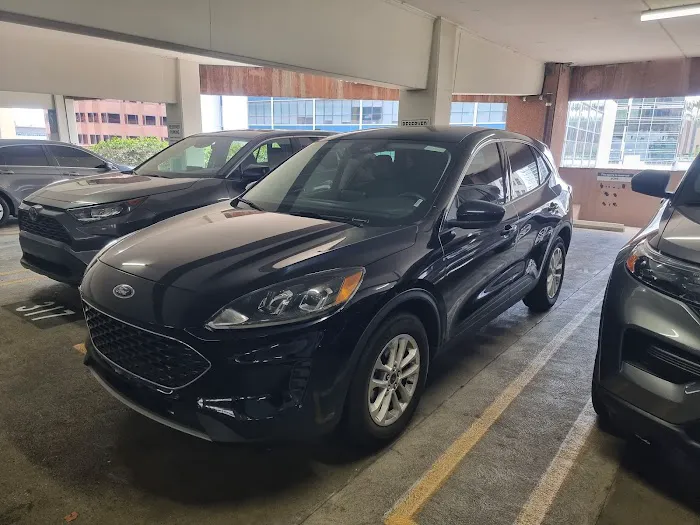 Budget Car Rental Picture 1