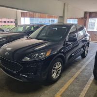 Budget Car Rental ico