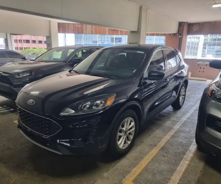 Budget Car Rental