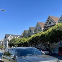 Avis Car Rental ico