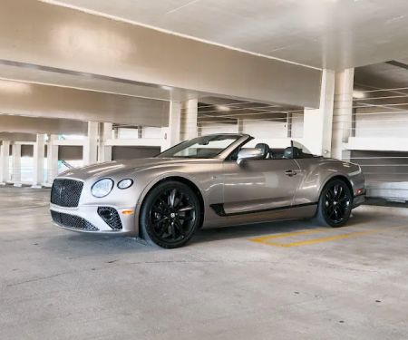 VU Exotic Car Rentals