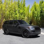 Starr Auto Rentals