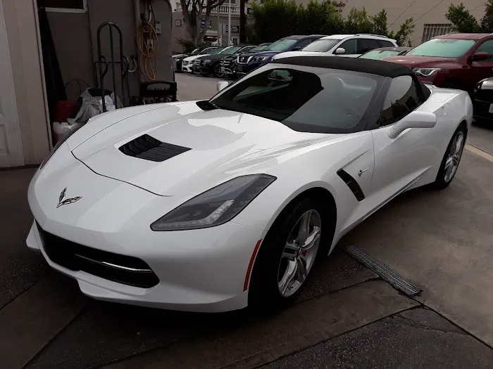 Black and White Car Rental Picture 3