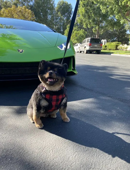 Premier Auto Rental Picture 2