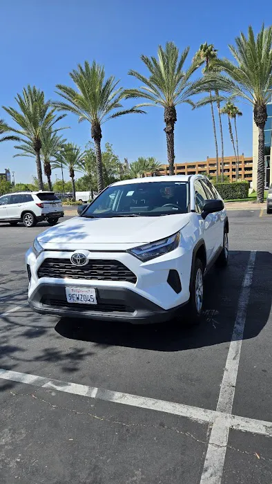 Avis Car Rental Picture 9