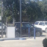 Avis Car Rental ico