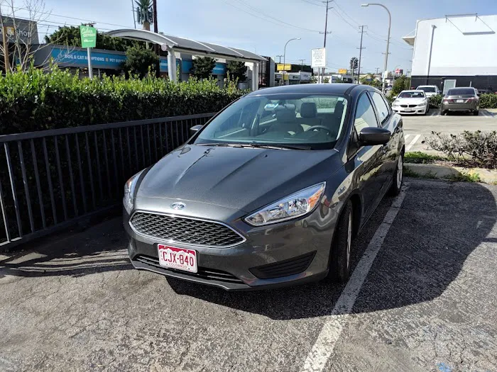 Avis Car Rental Picture 3