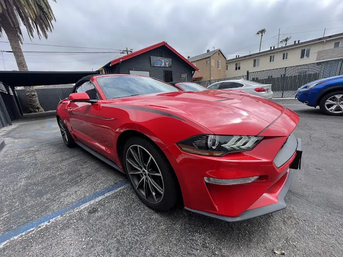 Rentex rent a car Picture 8