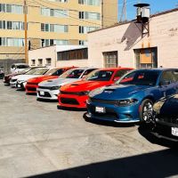 Car X Rental ico