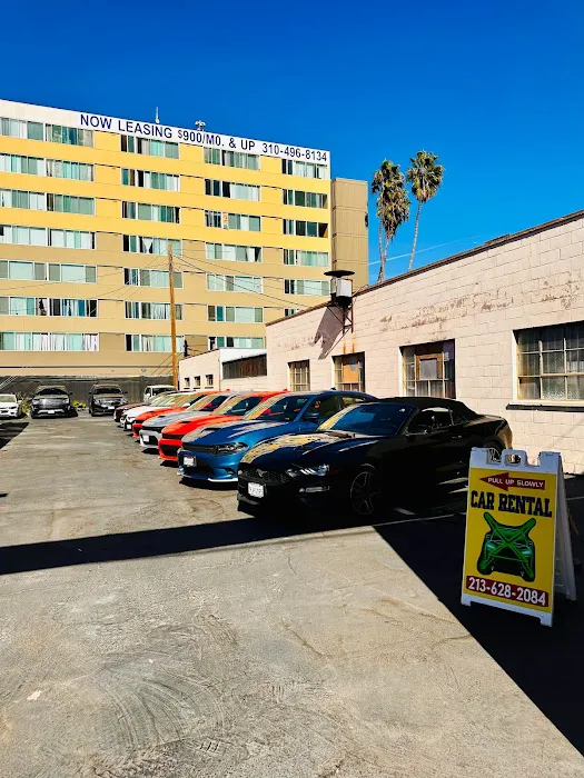 Car X Rental Picture 8