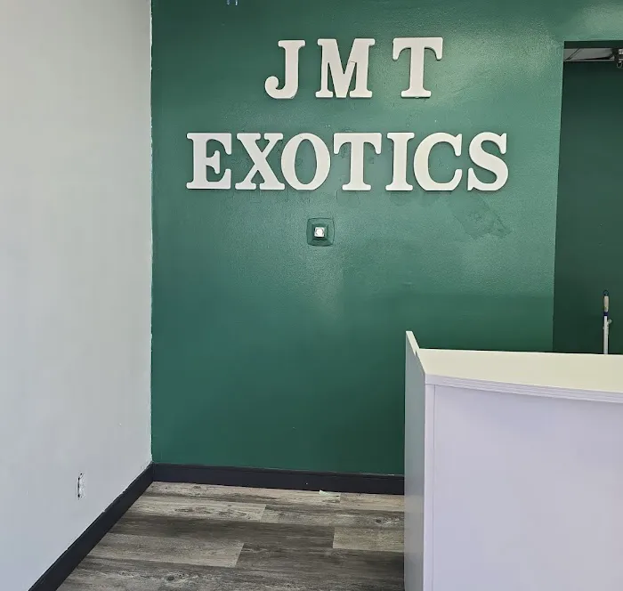 JMT Exotics Rent-A-Car-Van Picture 1