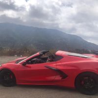 Rex Luxury Car Rental ico