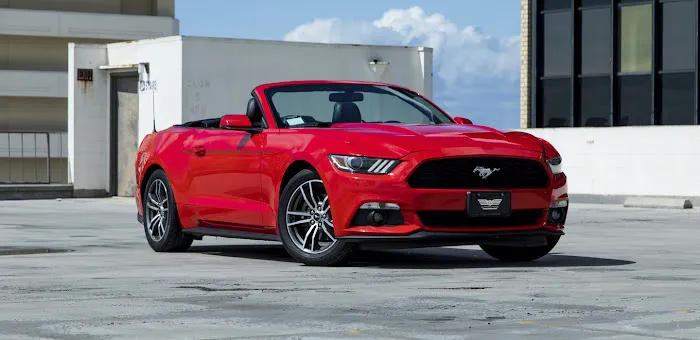 Elita Rent A Car Picture 9