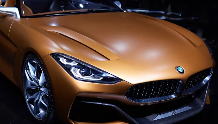 365 Exotic Rental Picture 2