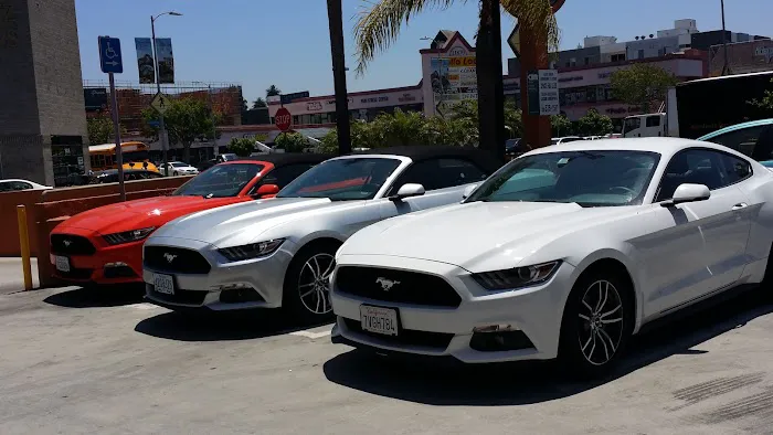 Avis Car Rental Picture 4