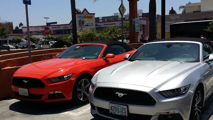Avis Car Rental Picture 1