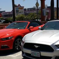 Avis Car Rental ico