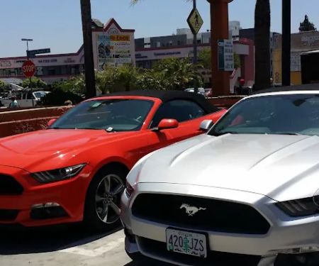Avis Car Rental