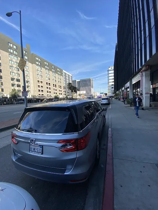 21 CAR RENTAL Picture 3