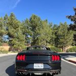 Black & White Car Rental | LAX