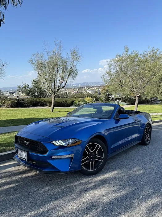 Prime Car Rental Picture 10