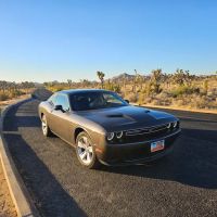 Alamo Rent A Car ico