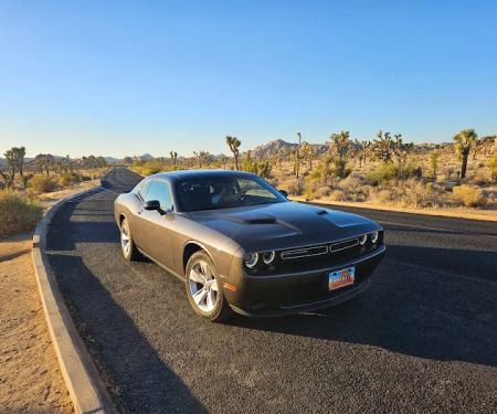 Alamo Rent A Car