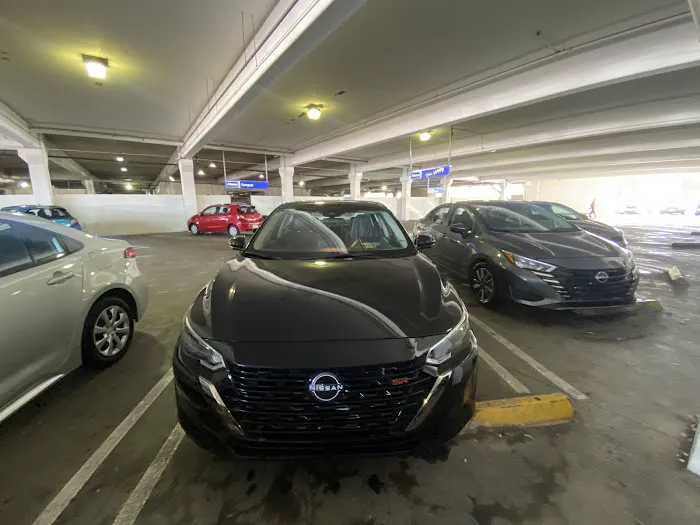 Alamo Rent A Car Picture 5