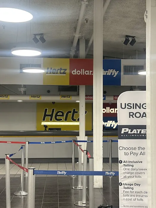 Dollar Car Rental Picture 3