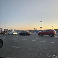 Dollar Car Rental ico