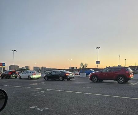 Dollar Car Rental