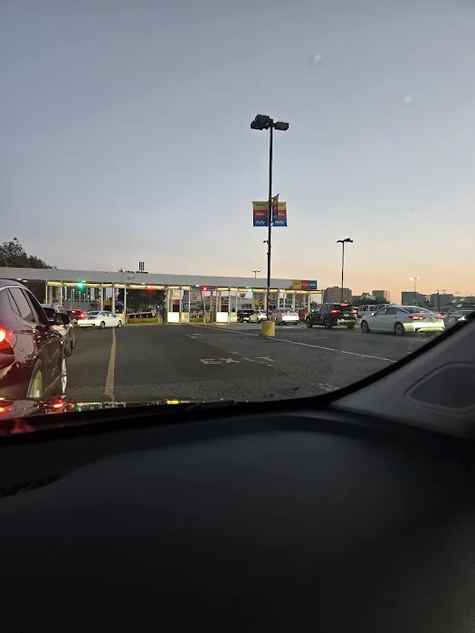 Dollar Car Rental Picture 5