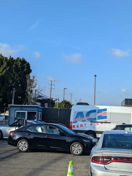ACE Rent A Car Picture 8