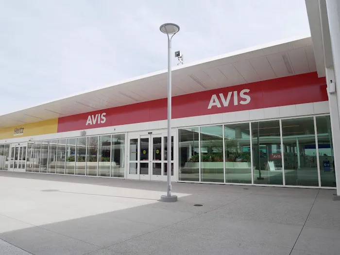 Avis Car Rental Picture 3