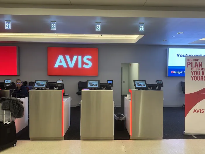 Avis Car Rental Picture 6