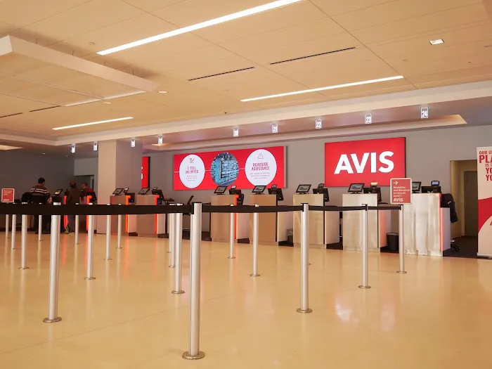 Avis Car Rental Picture 8