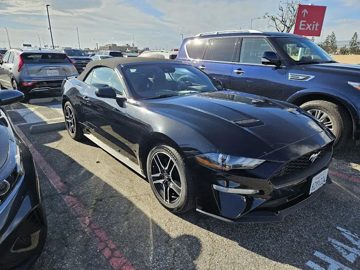 Avis Car Rental Picture 9