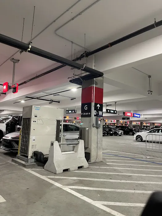 Budget Car Rental Picture 4