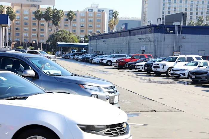 Budget Car Rental Picture 8