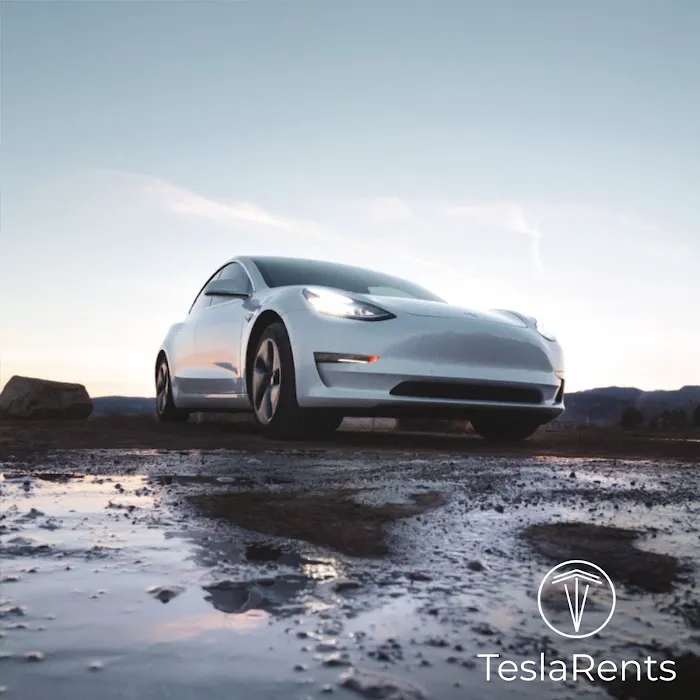 TeslaRents Picture 1
