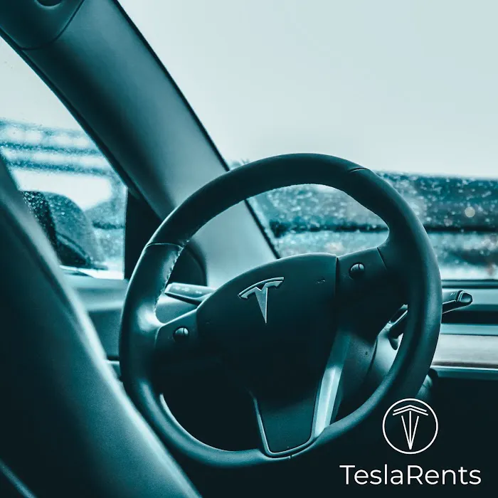 TeslaRents Picture 7