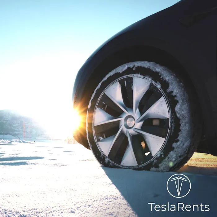 TeslaRents Picture 2