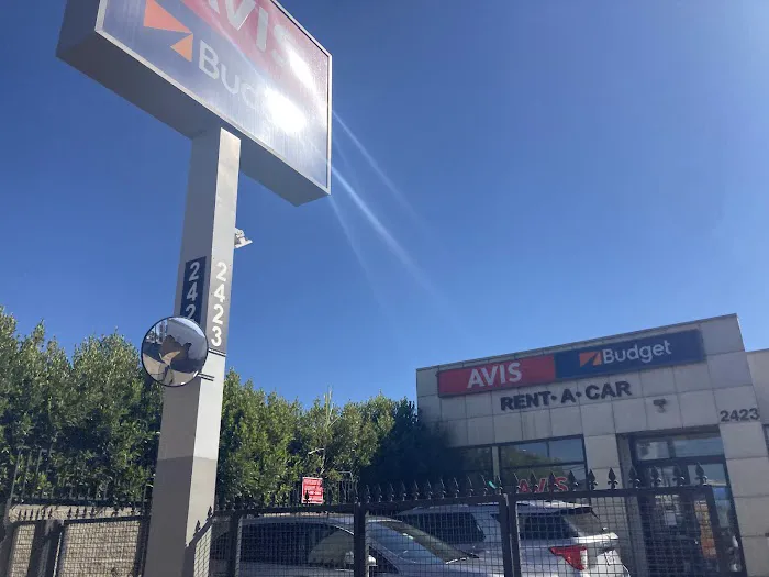 Avis Car Rental Picture 6