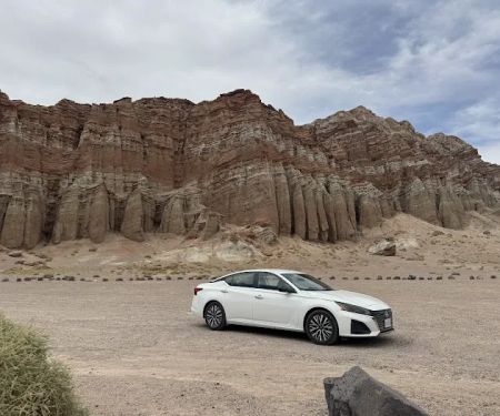 Hertz Car Rental