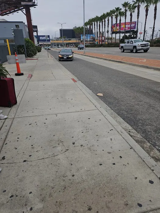Fox Rent A Car Los Angeles Picture 1